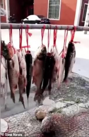  Chinese school awards 30 best students with fresh fish for doing well in exams (Photos)