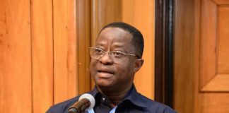 Former Energy Minister, John Peter Amewu