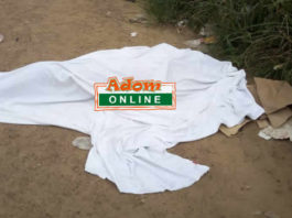 Importer crushed to death in tragic accident at Tema Port man dead