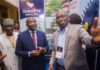 Dangote