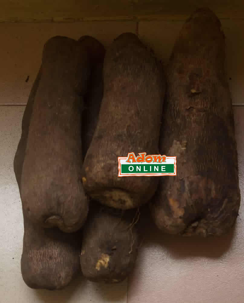 The new yam comes from June to December