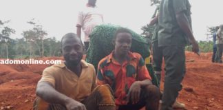 Kwabena Yeboah and Akwasi Yeboah after their arrest