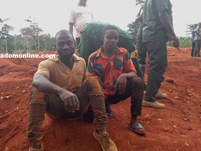 Kwabena Yeboah and Akwasi Yeboah after their arrest