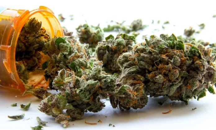 youth-mix-opium-with-weed-in-new-drug-abuse-trend (Copy)