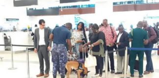 The sniffer dogs are being used to screen any infractions on passengers and their luggage