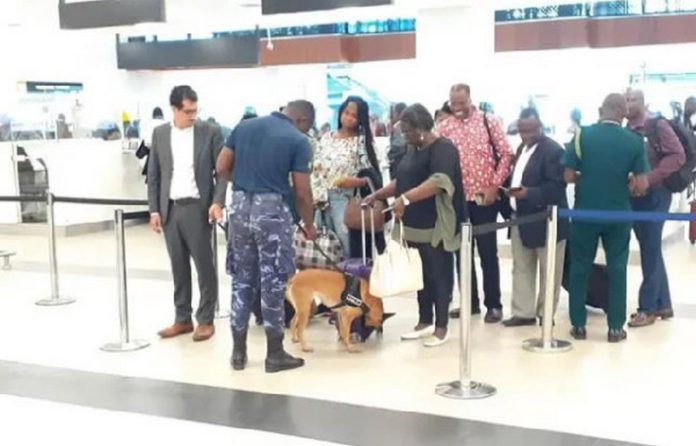 The sniffer dogs are being used to screen any infractions on passengers and their luggage