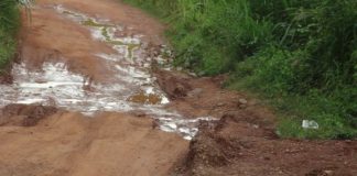 Frustrated farmers, fishermen and fishmongers say there is no solution in sight.