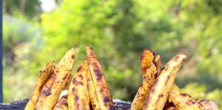 roasted plantain