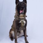 Announcing the death of the ISIS leader at a press engagement earlier, President Trump said capturing the ISIS leader had been his top priority since he assumed office some three years ago