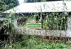 Leprosarium turned into nursing school left to rot in bush