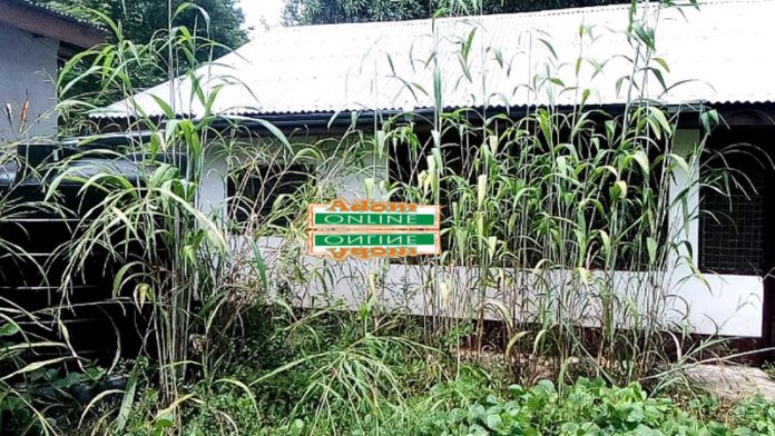 Leprosarium turned into nursing school left to rot in bush