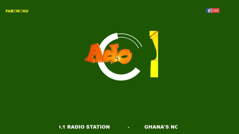 Fabewoso: ‘Govt’s take-over of Akwatia Diamond Mine justified’ [Video]