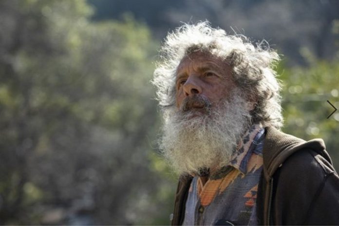 Art Shapiro, a professor of evolution and ecology at UC Davis, wanders Gates Canyon near Vacaville, Calif., looking for butterflies.(Brian van der Brug / Los Angeles Times)