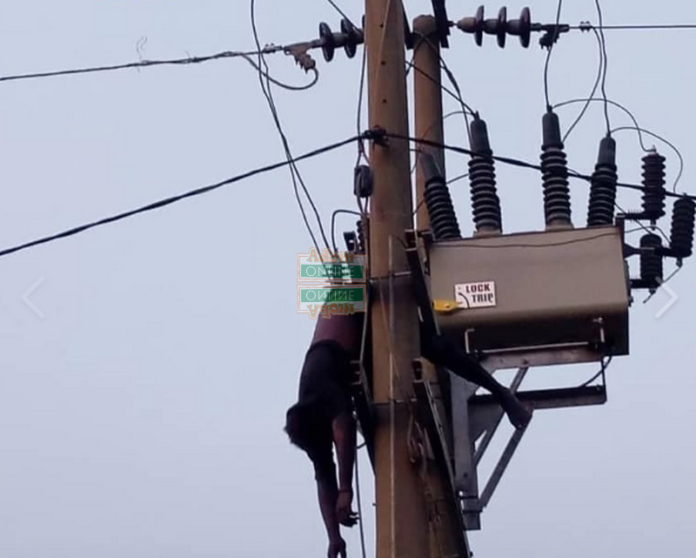 Thief hanging on the transformer