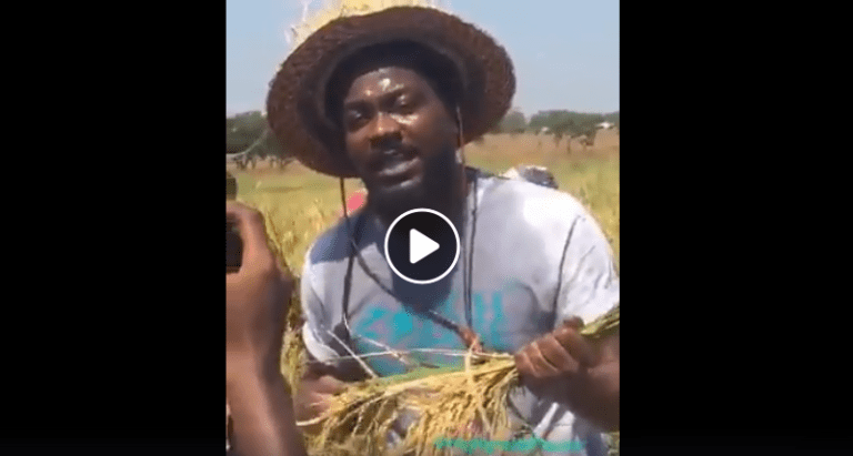 Samini joins made-in-Ghana rice campaign