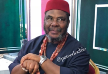 Nigerian actor, Pete EdochieNigerian actor, Pete Edochie