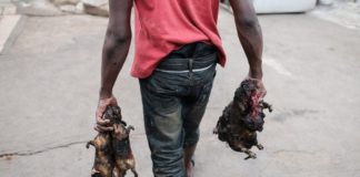 File photo: Nothing prevents the country's lawmakers to enact laws to make it criminal to use bare hands to sell or serve food.