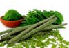 moringa