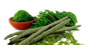 moringa
