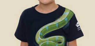 snake boy