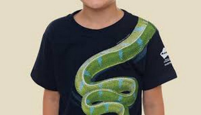 snake boy