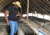 John Dumelo snail farm