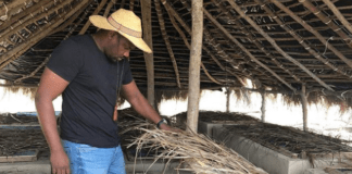 John Dumelo snail farm