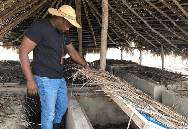 John Dumelo snail farm