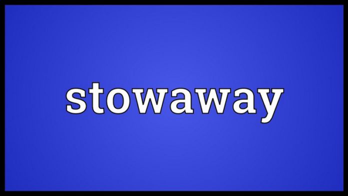 stowaway