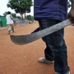 Dealing with the Land guard menace