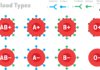 Blood Type