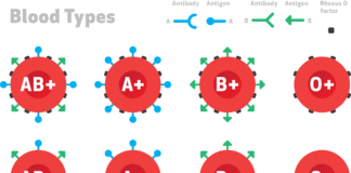Blood Type