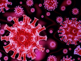 Coronavirus