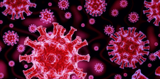 Coronavirus