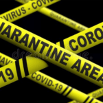 Two cats test positive for coronavirus