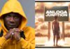 Anloga Junction Album
