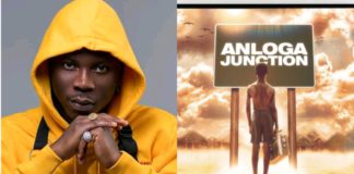 Anloga Junction Album