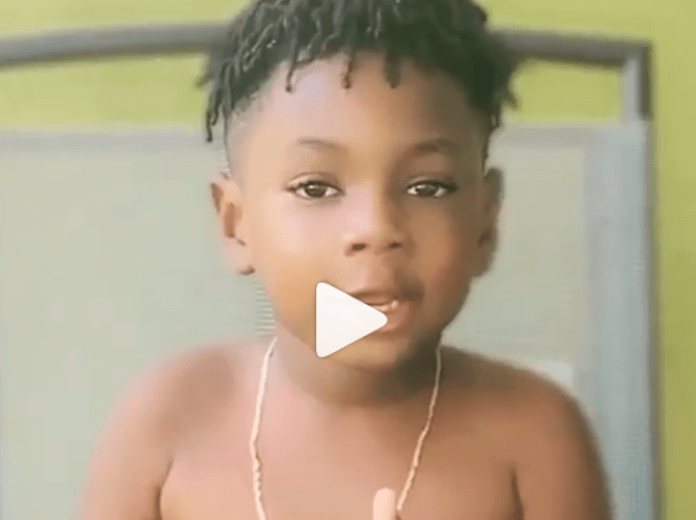 Son of Shatta Michy and Shatta Wale, Majesty