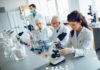Laboratory scientists working in a lab