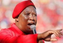 South African politician, Julius Malema