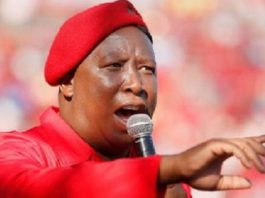 South African politician, Julius Malema