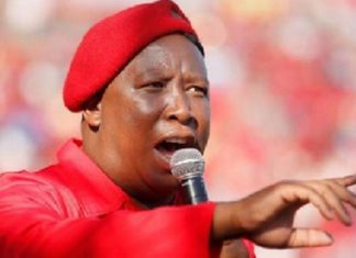 South African politician, Julius Malema