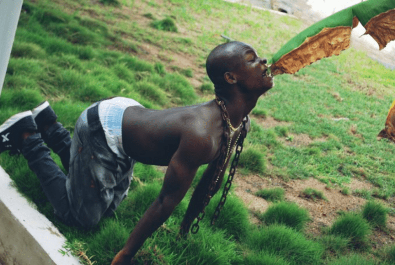 How can you fight over an animal? – AY Poyoo replies Hon. Aponkye on name theft claim