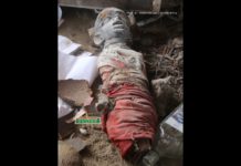 Sakawa boys return snake to ritualist for failing to vomit money at Nkurakan Fetish priest shrine