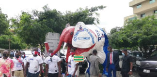 NPP acclaims Akufo-Addo