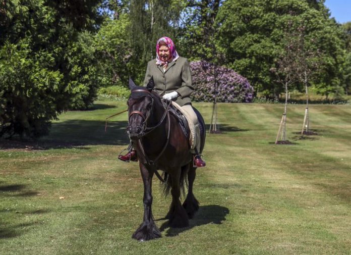 queen elizabeth rides horse