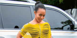 zanetor rawlings