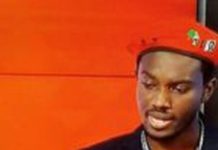 Economic Fighters League to contest 2024 elections