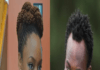 Chimamanda Adichie and Michael Essien