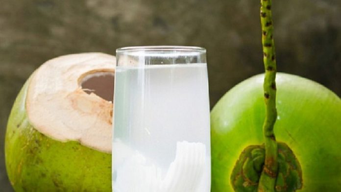 coconut water